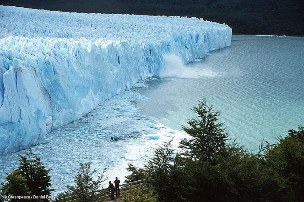 Greenpeace advierte que se encuentra en riesgo (Fotos Greenpeace)