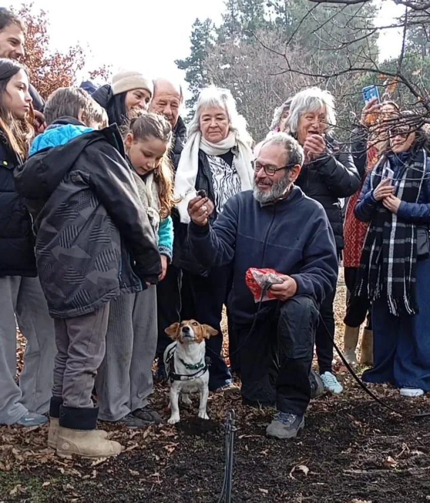 Trufas de invierno, un producto de la alta cocina internacional que se produce en El Bolsón. Foto: gentileza