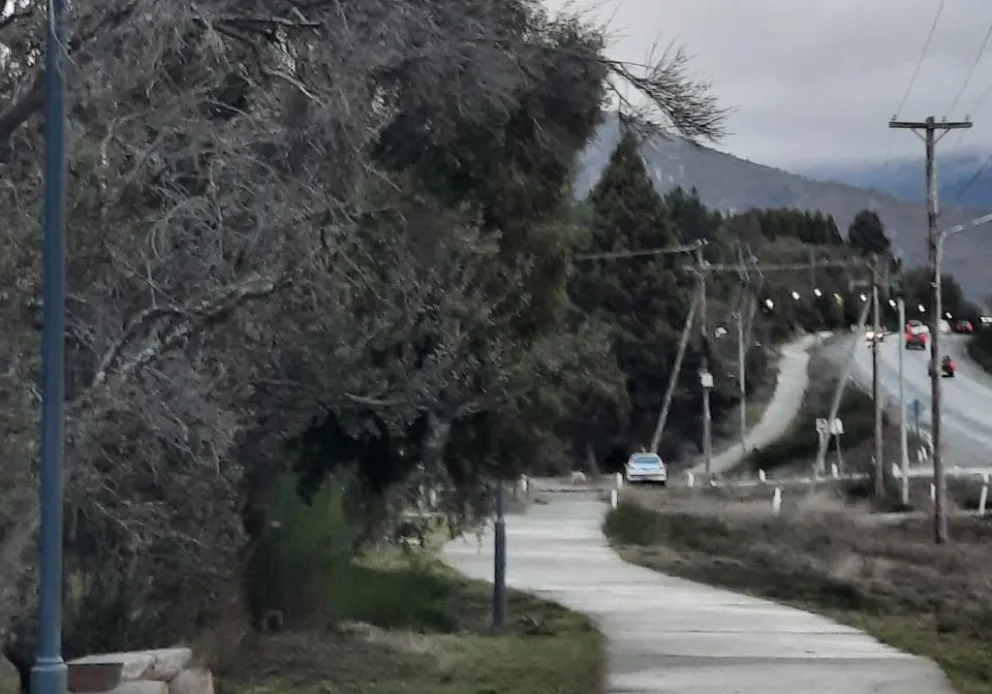 Se robaron los cables y dejaron a parte del Paseo del Oeste de Bariloche sin luz (foto: gentileza)