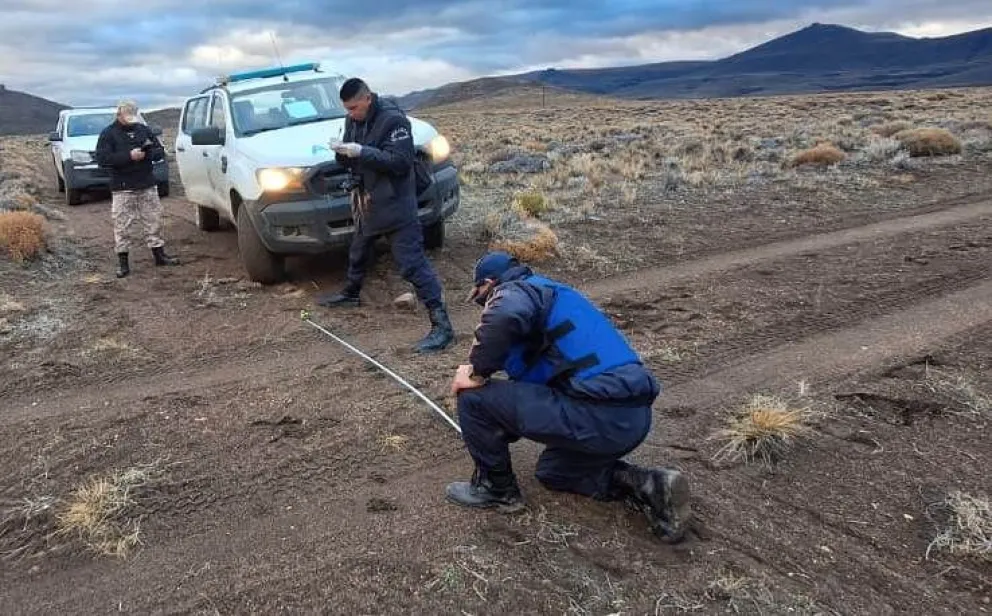 En la caja de la camioneta transportaba tres ciervos despostados, que totalizaban más de 350 kilos de carne. 