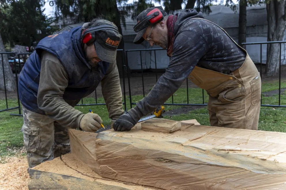 Los escultores trabajan sobre el ciprés (Foto Euge Neme) 