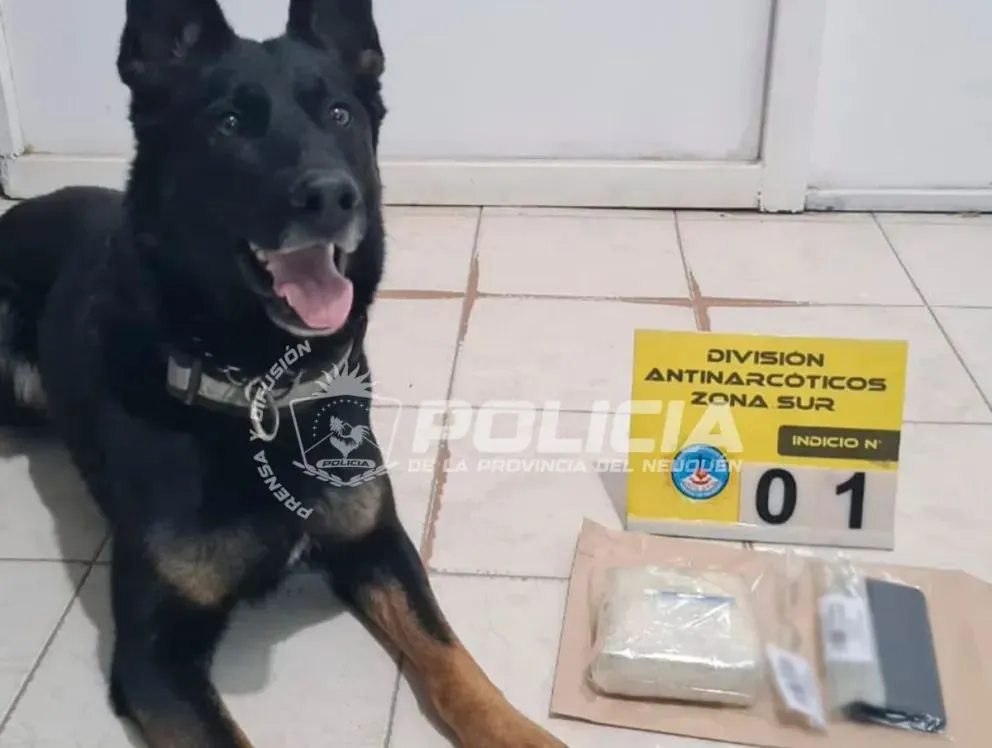 El procedimiento se desarrolló el miércoles 13 de agosto. Foto: gentileza