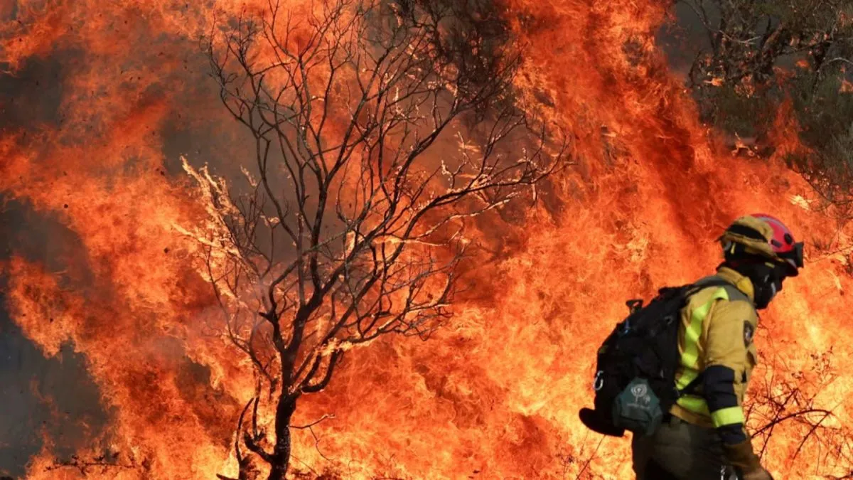 Los incendios forestales en el sur de Europa causaron tres muertos y ...