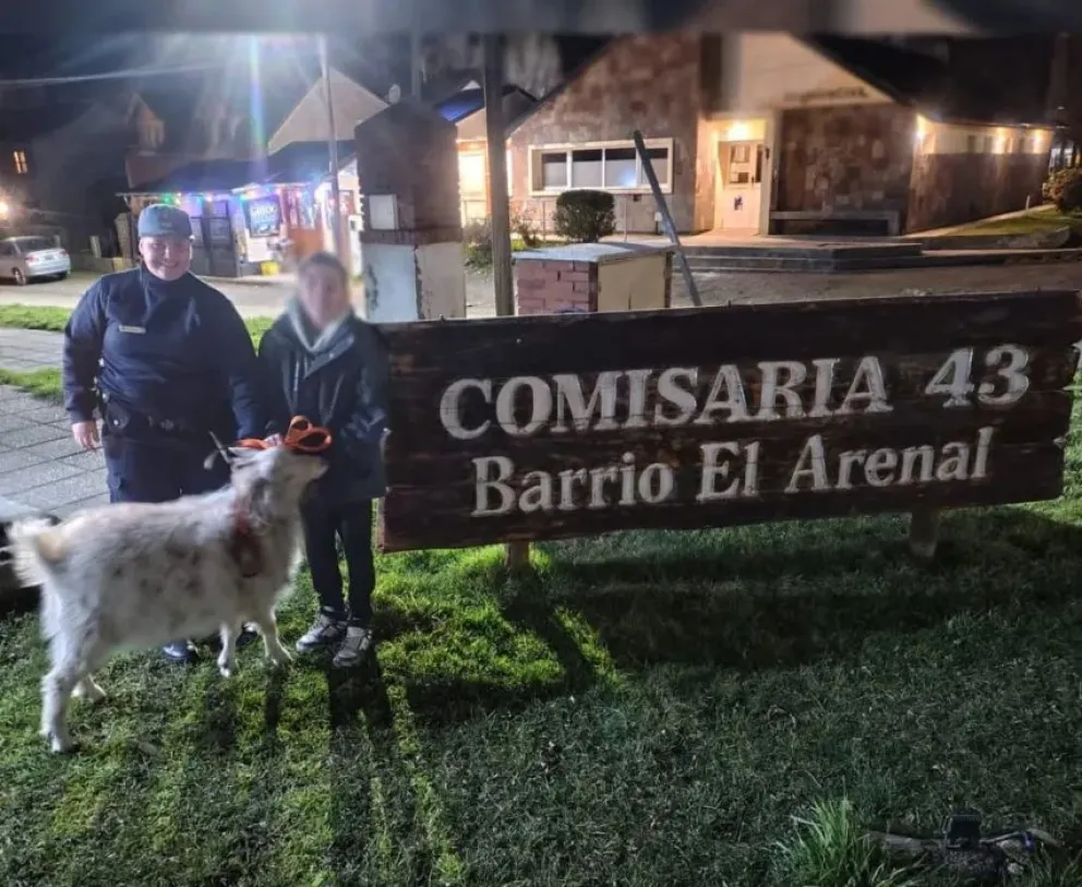 Final feliz para una cabra de la zona cordillerana 