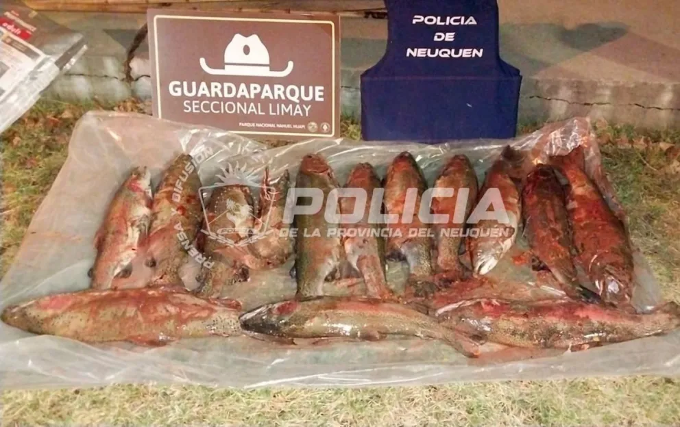 Al inspeccionar el baúl, se encontraron ganchos y ejemplares de peces.