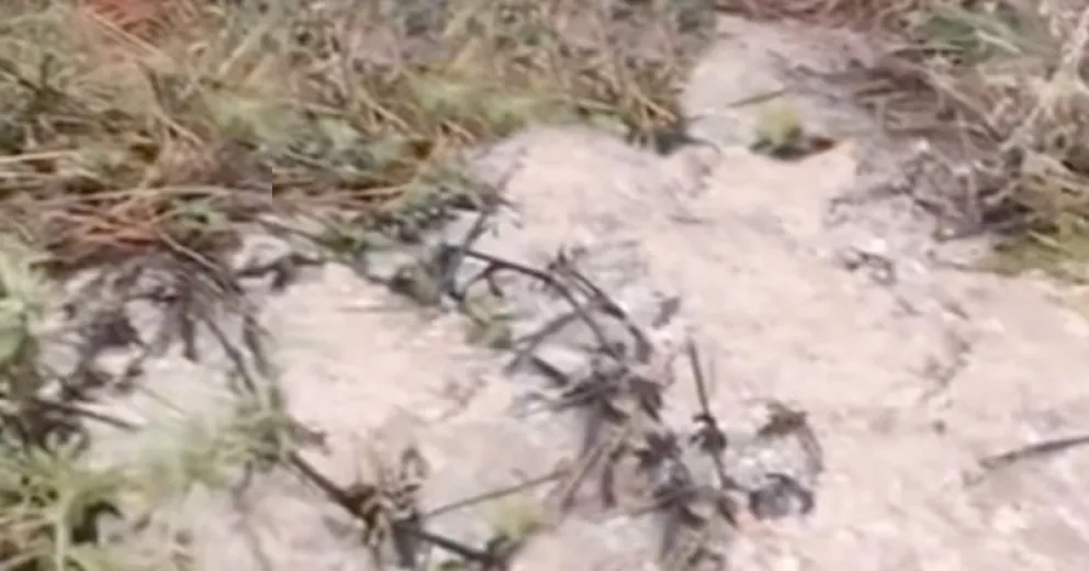 Aseguraron que resolverán cuanto antes el problema.