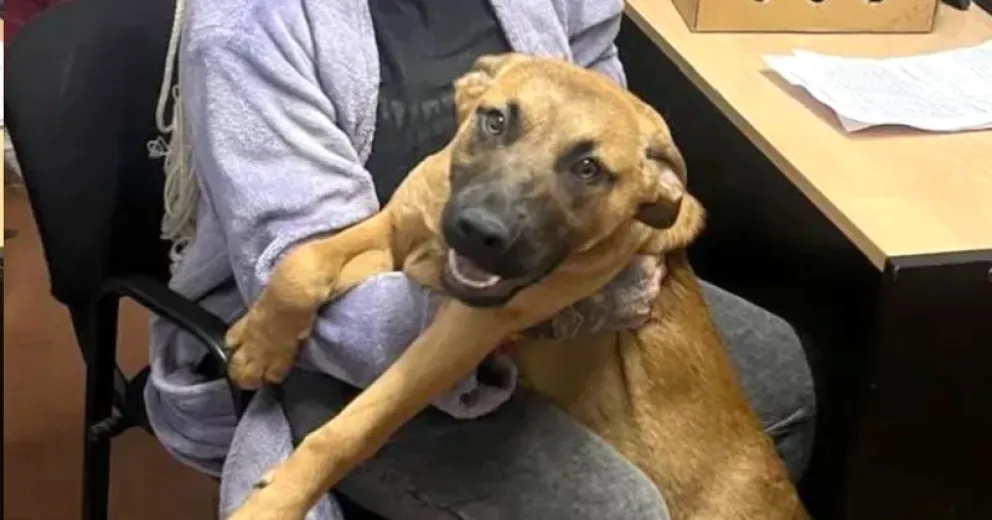 Un hecho con final feliz.