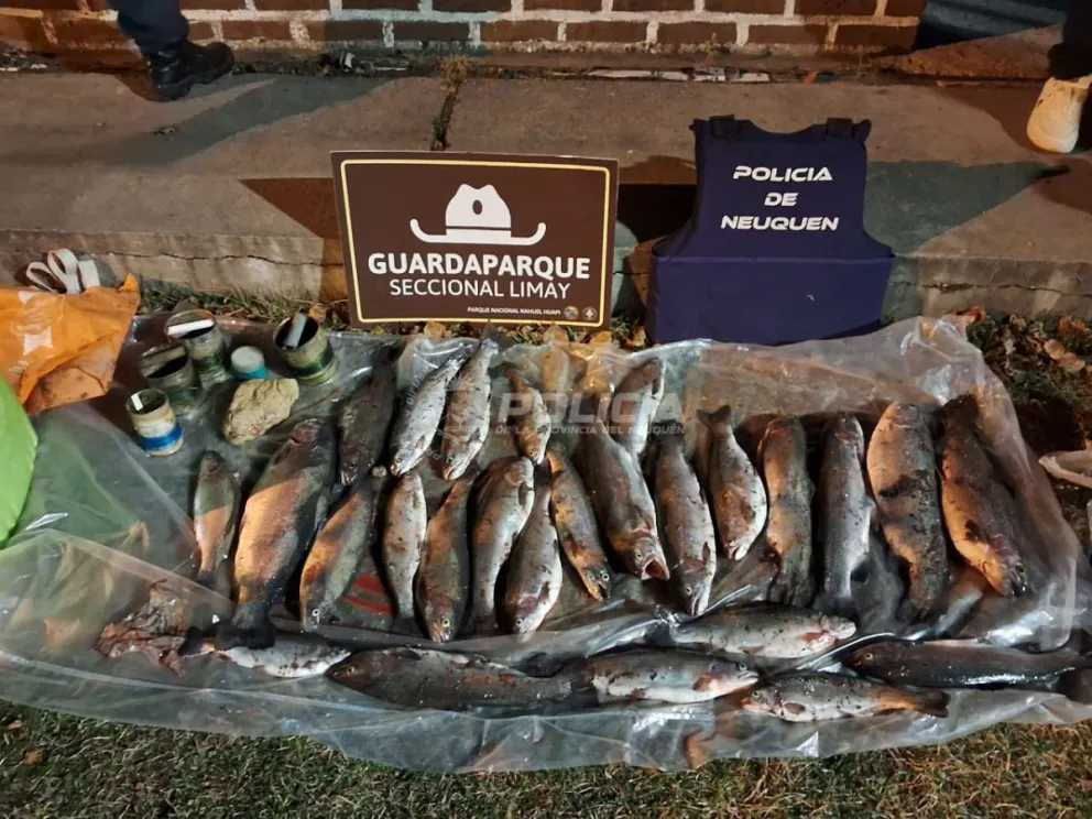 Decomisaron 26 truchas y otros elementos. Se dirigían hacia Bariloche. Foto: gentileza