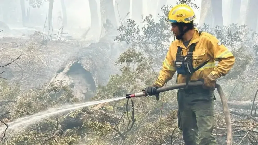 El proyecto apunta a mejorar la preparación en áreas críticas / Crédito: Gobierno Río Negro