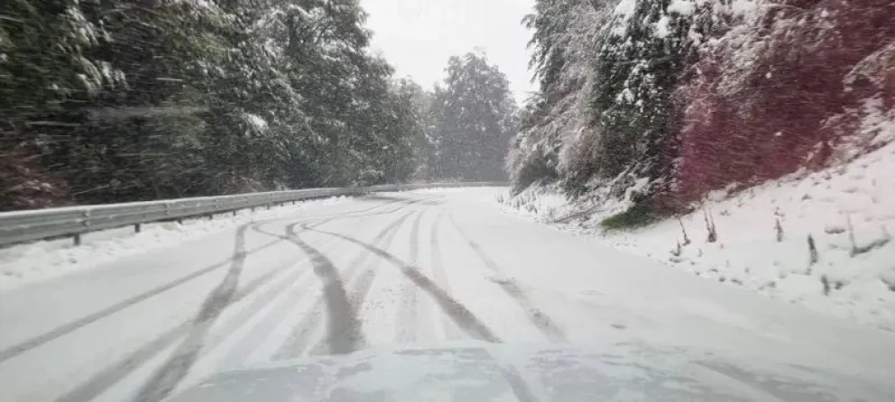 Atención a los conductores que circulen en la zona. 