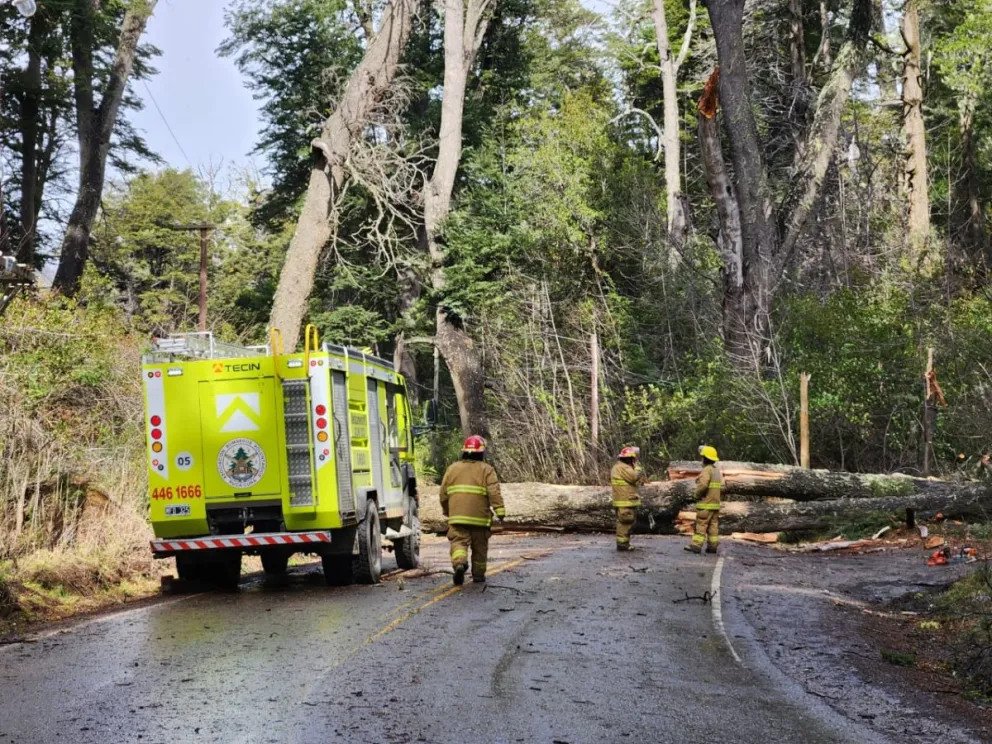 Aún trabajan en el lugar, se recomienda no transitar por ese sector.