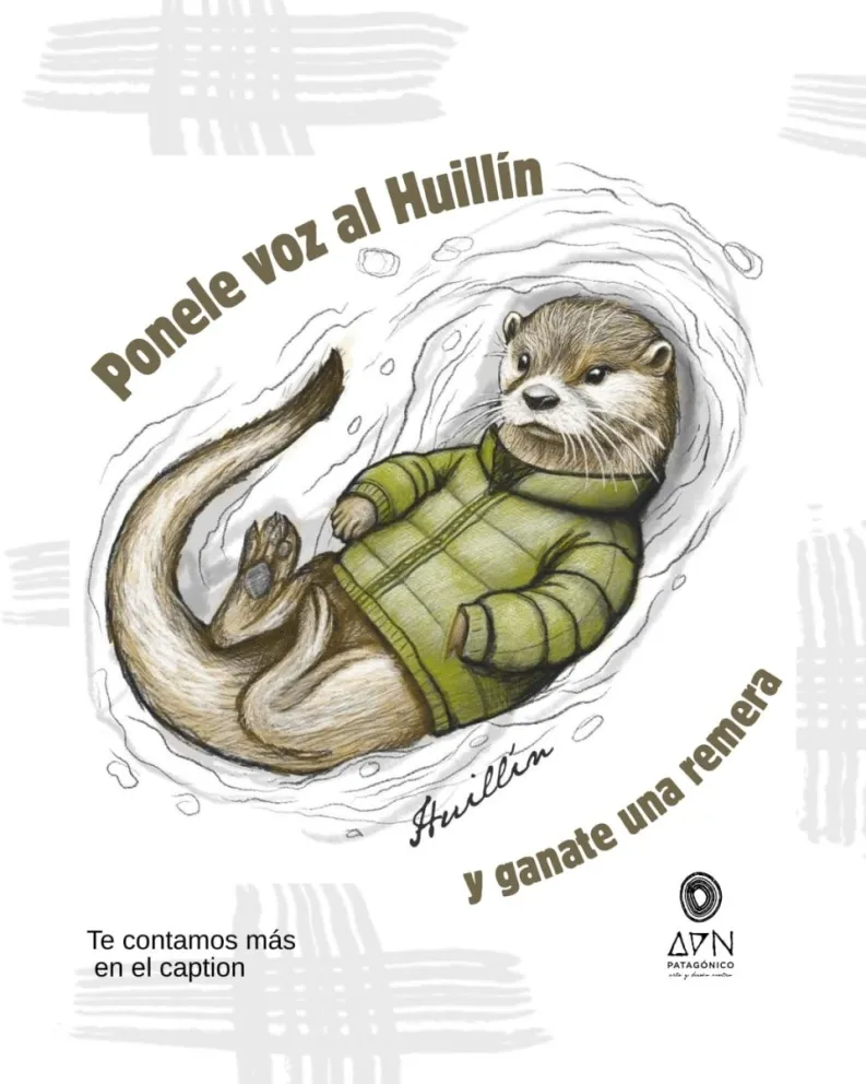 Invitan a proponer frases cortas y originales que acompañen la ilustración de un huillín. Foto: gentileza
