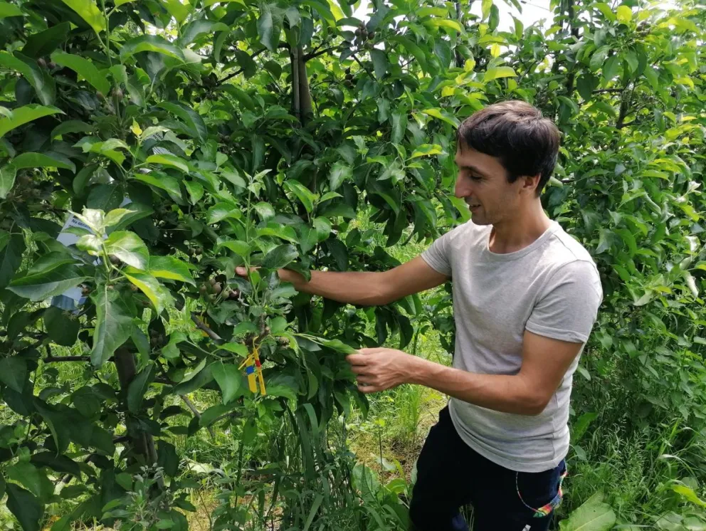 El premio ha involucrado a más de 10.000 científicas. Foto: gentileza