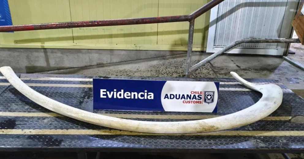 Además llevaba carne.