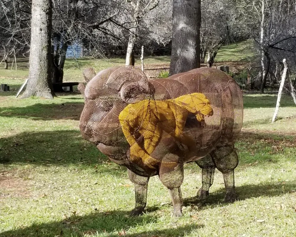 "Patagonia lof & lodge", obra de Nadia Guthmann.