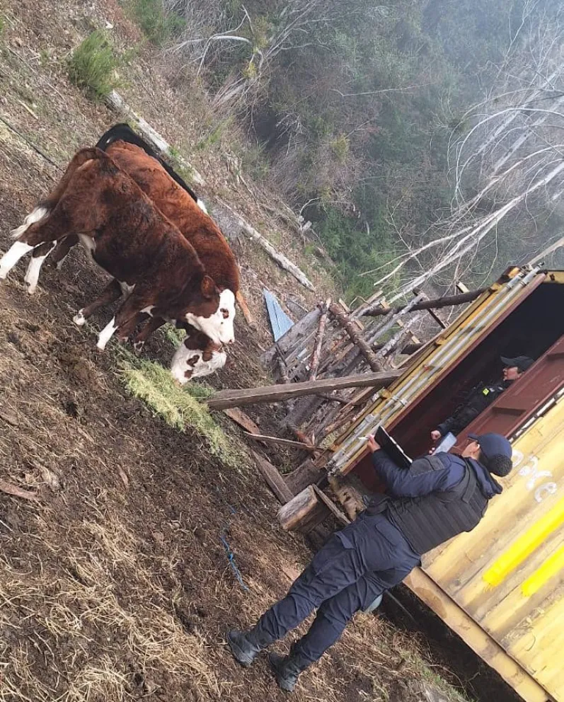 De acuerdo a la información que trascendió del operativo, el hombre que fue desalojado es conocido en el edificio de Tribunales.