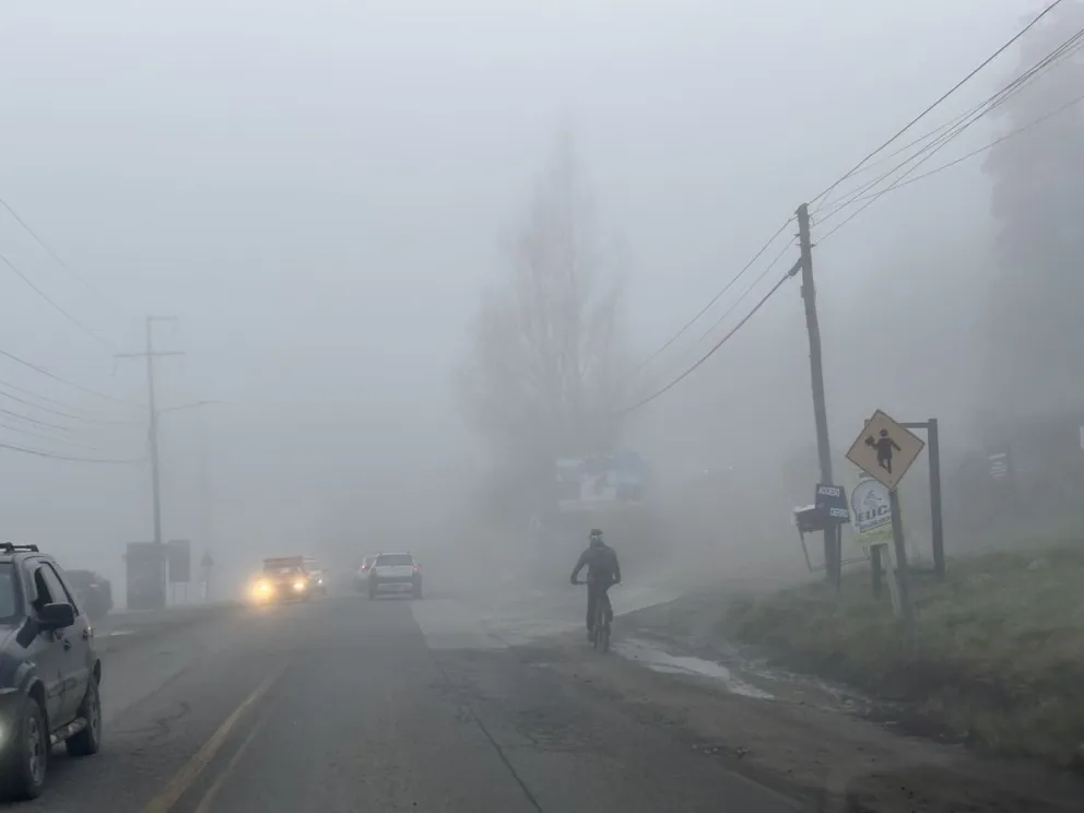 Atención a los conductores que circulen por la zona / Fotos Euge Neme 