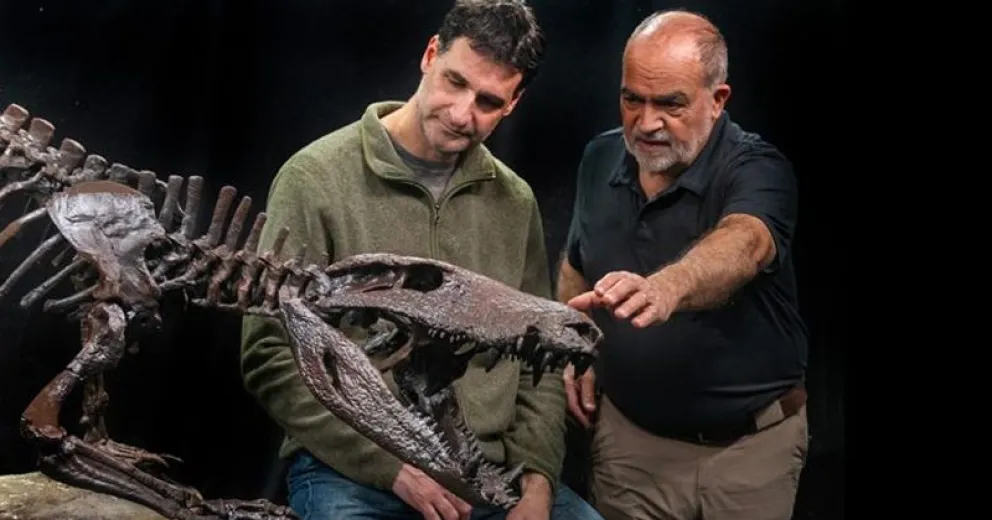 Las rocas que contienen los fósiles se llama Formación Chorrillo, y su antigüedad ronda los 70 millones de años.