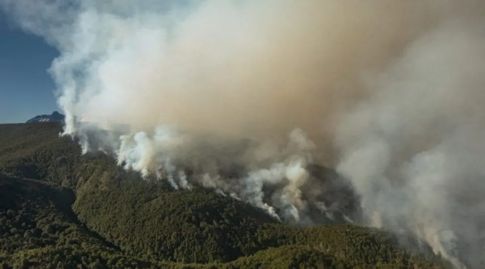 Apostando a un futuro con bosques.