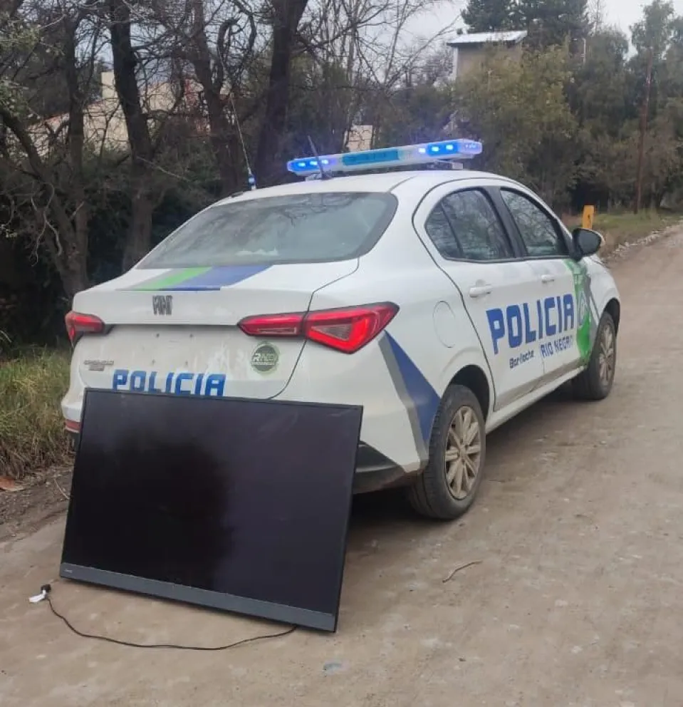 Ocurrió en un sector boscoso de calle Medallita al 2000. Foto: gentileza