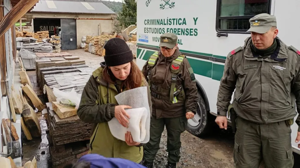Operativo en conjunto para secuestrar fósiles del período Mesozoico en un local de Bariloche 