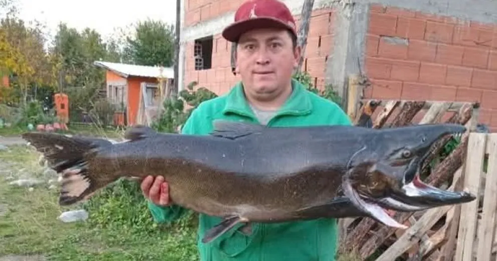 Hay que prestar atención antes de consumirlo.