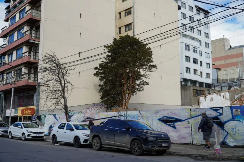 Uno ejemplar único en la ciudad / Foto Euge Neme 