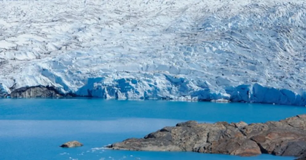 Verlos retroceder no puede generarnos indiferencia.