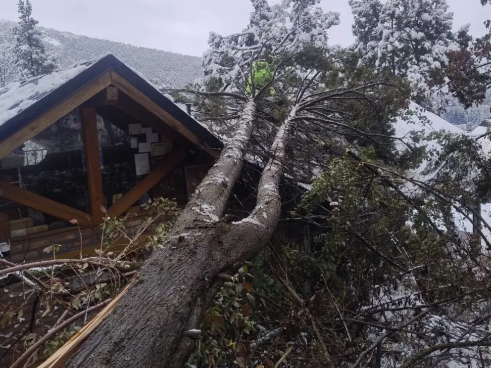 La nieve de esta madrugada y las abundantes lluvias, no cesan. Foto: gentileza. 