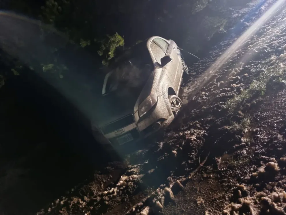 Estado del vehículo.