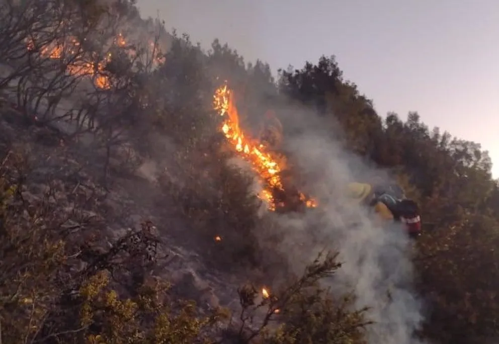 Las precipitaciones fueron fundamentales.
