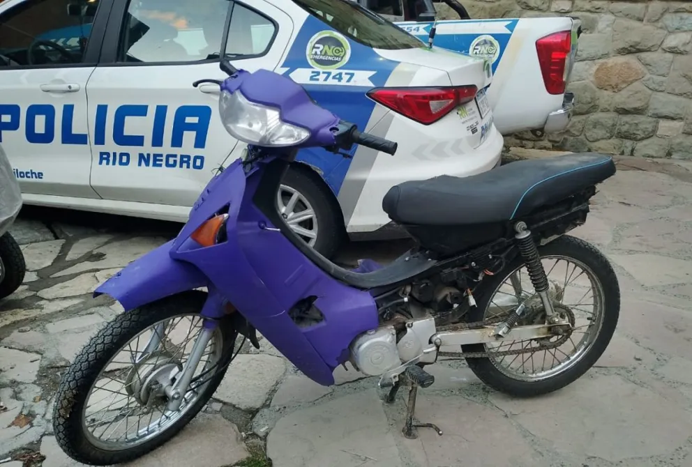 En pocos días lograron recuperarla.