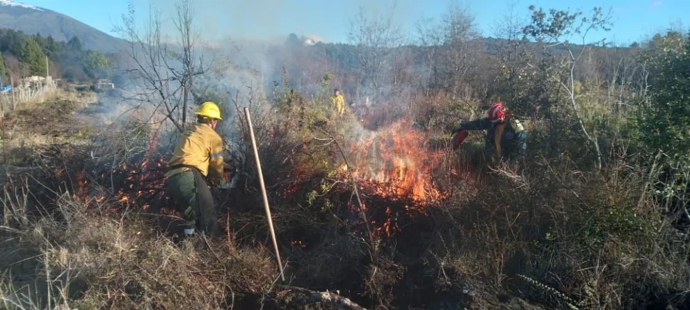 SPlif El Bolsón continúa con los trabajos preventivos de cara al verano 