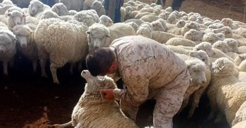 Imagen del amplio operativo desplegado.