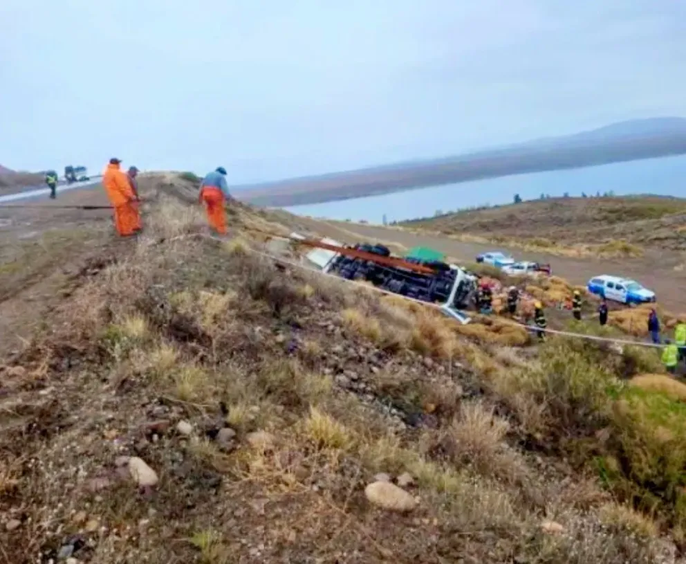 El camión despistó y terminó cayendo en un barranco en la ruta 237