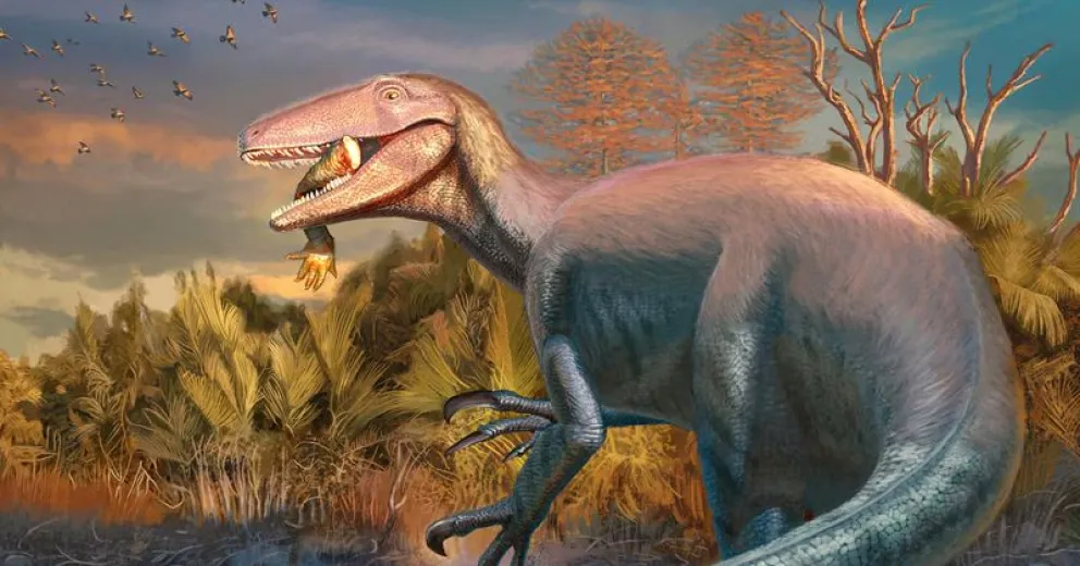 Restos del Joaquinraptor casali se muestran al mundo.