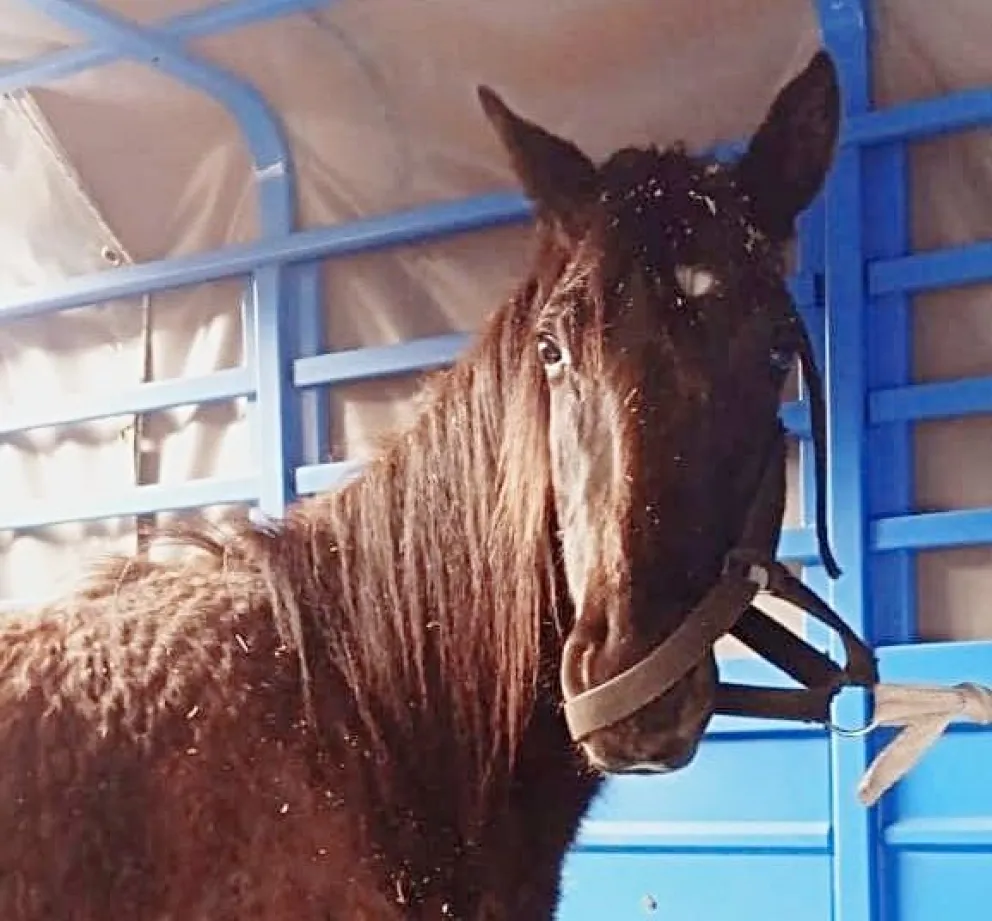 Un problema que crece día a día. 