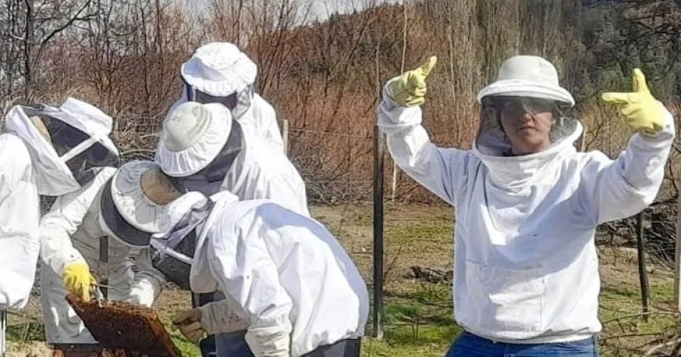 Roban material de trabajo indispensable.