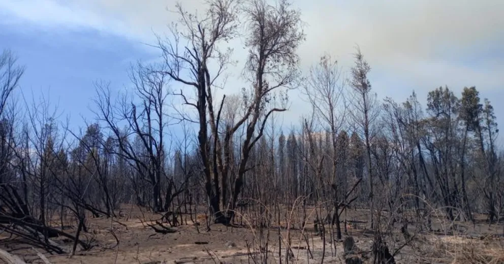 Aún no hay fecha de apertura.