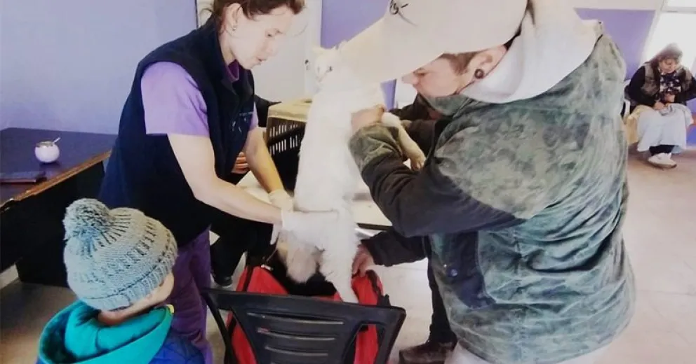 Aún se pueden solicitar turnos.