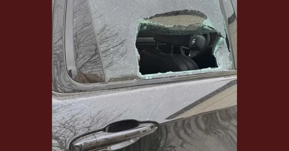 Intenta recuperar material de estudio y laboral.