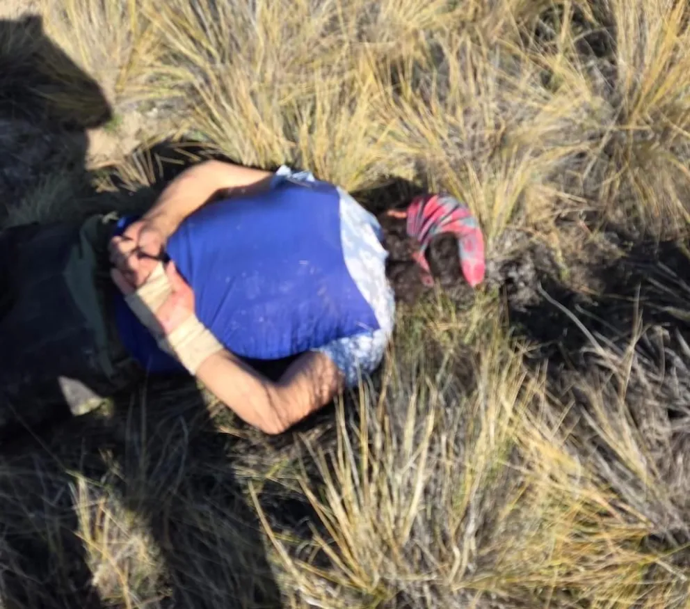 Loa furtivos habían cazado dos ejemplares de ciervos colorados 