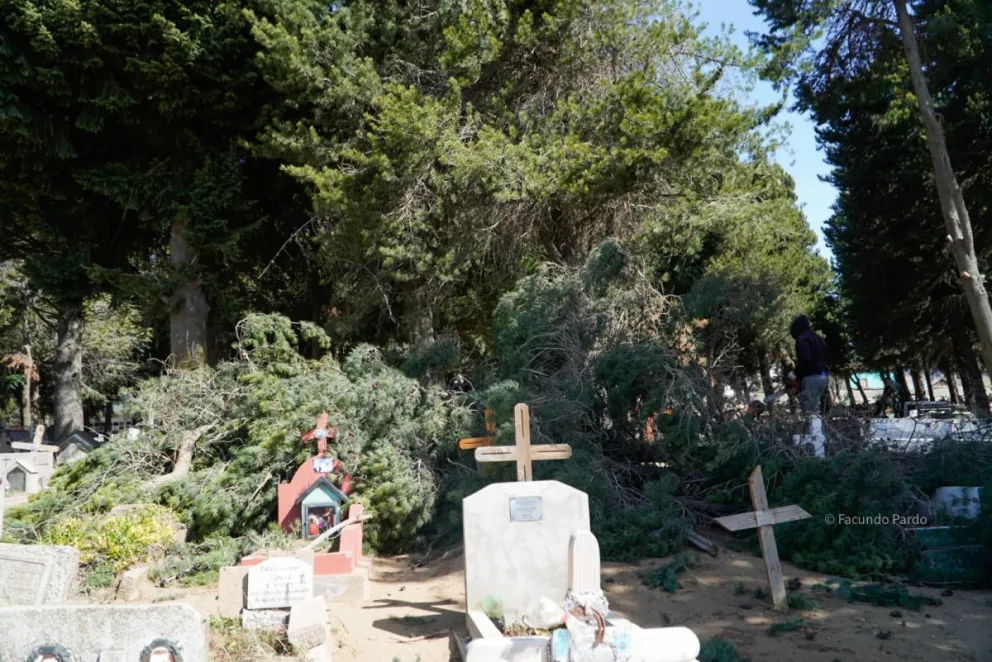 Se registran fuertes ráfagas de viento que provocaron la caída de un árbol en el cementerio municipal (fotos: Facundo Pardo) 