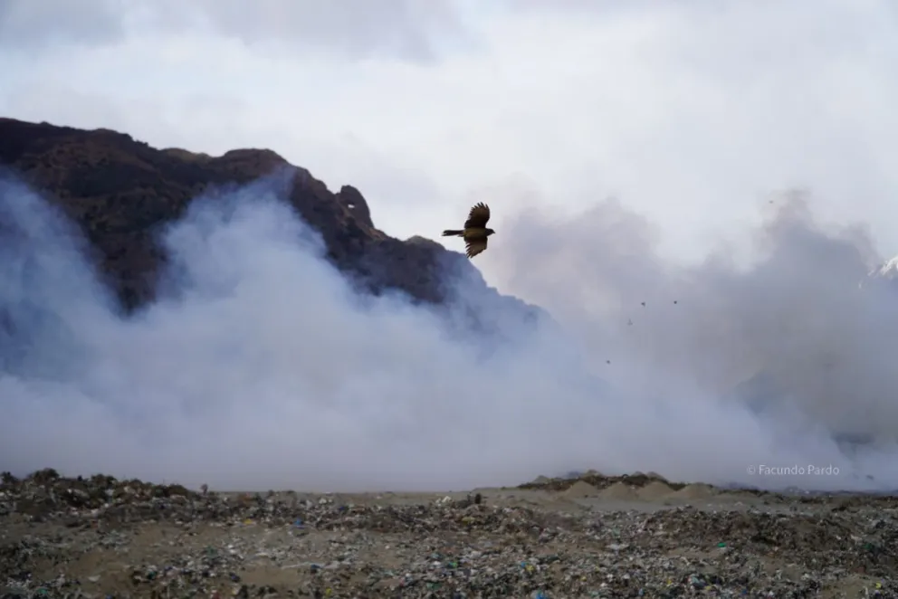 Una situación compleja durante todo el año y que genera preocupación ante la llegada de las altas temperaturas / Fotos Facundo Pardo 