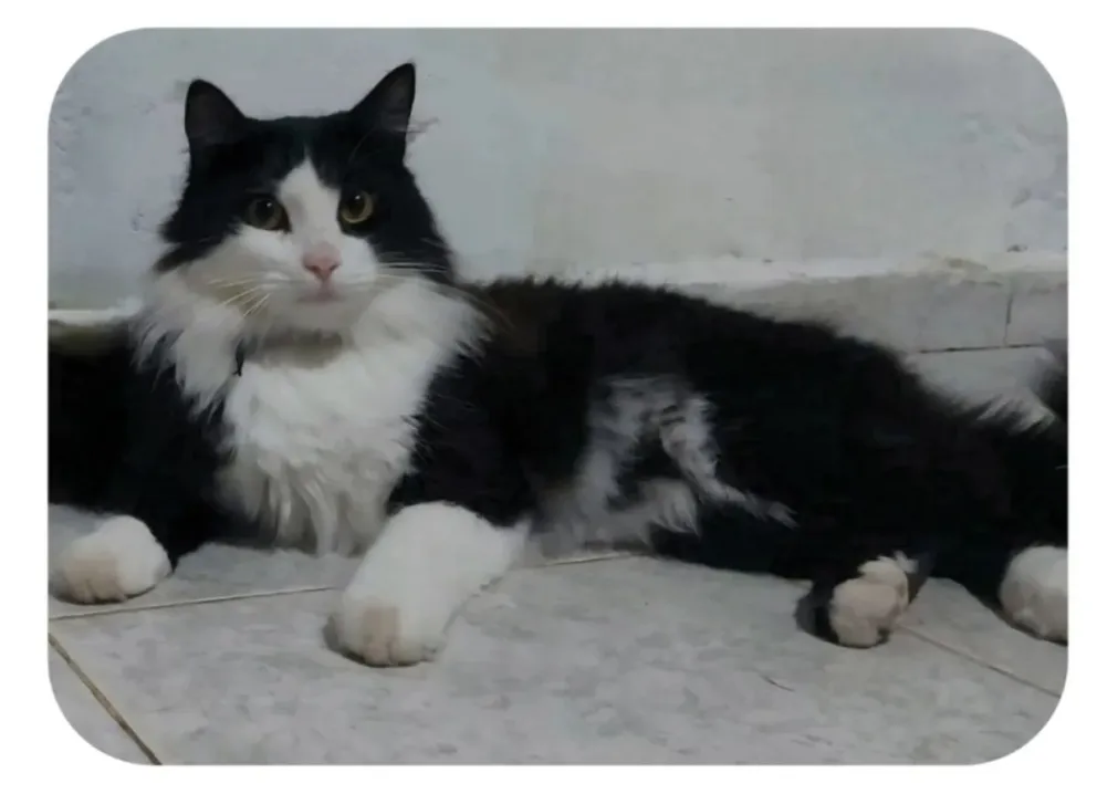 Una de las fotos que se encuentran en las redes sociales.