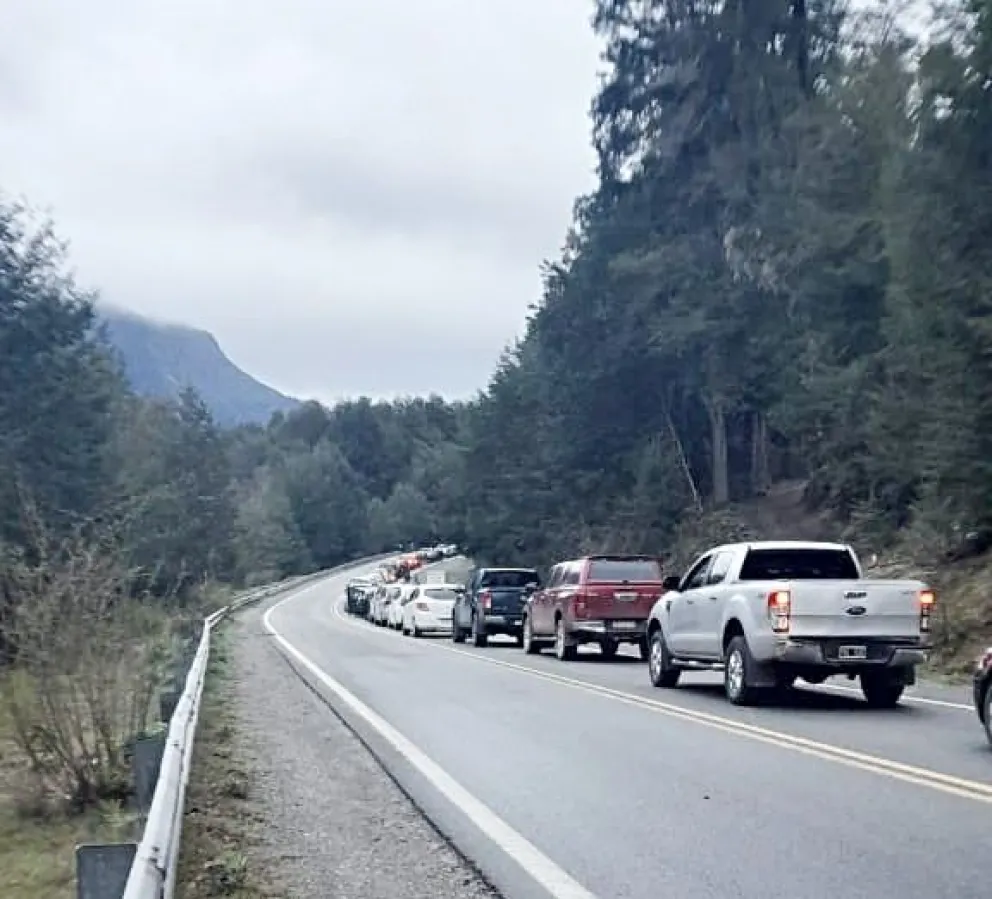 Todos los modelos de vehículos esperando en plena ruta. 