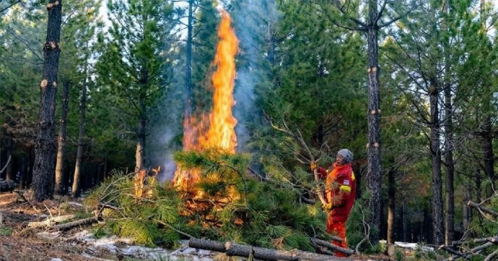 El Servicio Provincial de Manejo del Fuego mantiene alerta permanente.