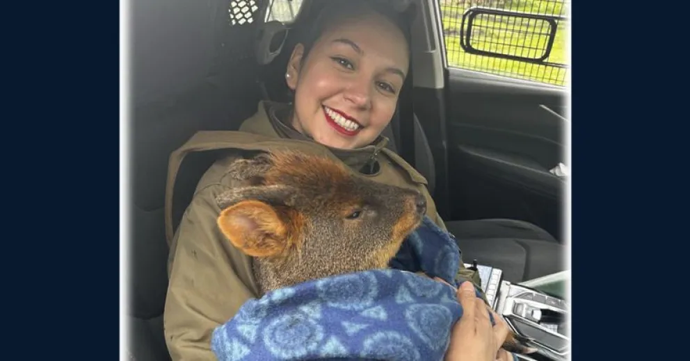 El animalito en brazos de una integrante de carabineros.