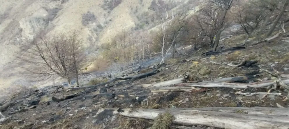La lluvia del martes ayudó a los combatientes extinguir el fuego.