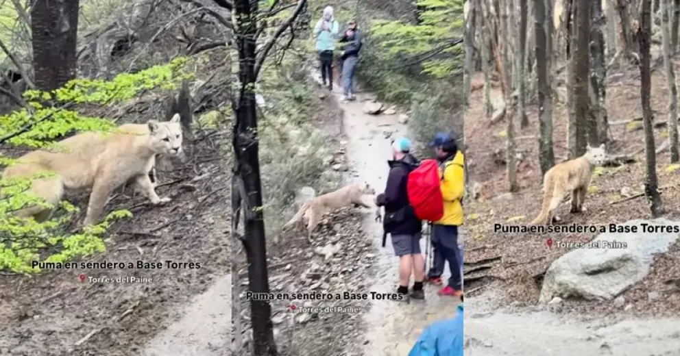 Los caminantes vivieron momentos únicos como regalo de la naturaleza.